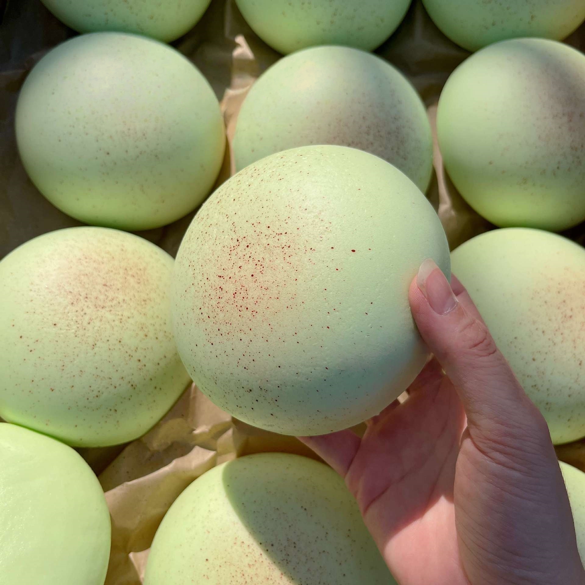 1PC Realistic Daifuku Mochi Sq - Kids Toys In Wholesale 评论和价格