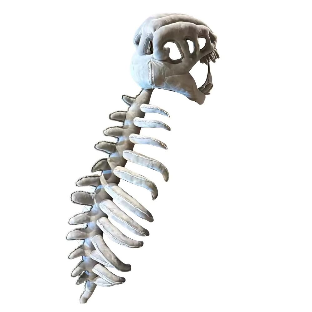 3D Dinosaur Skeleton Toys Funn - Kids Toys Unique 评论和价格